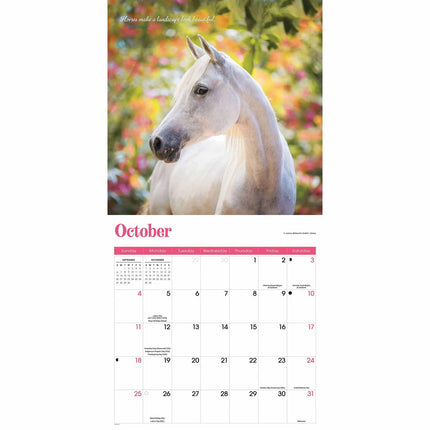 CarouselCalendars Paarden Kalender 2026
