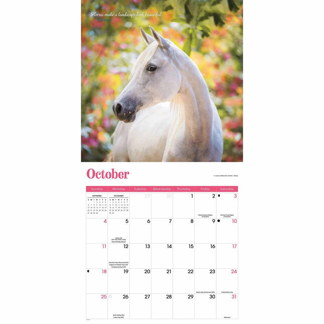 CarouselCalendars Paarden Kalender 2026