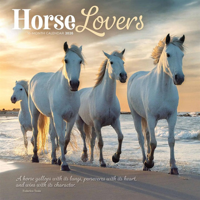 CarouselCalendars Paarden Kalender 2026