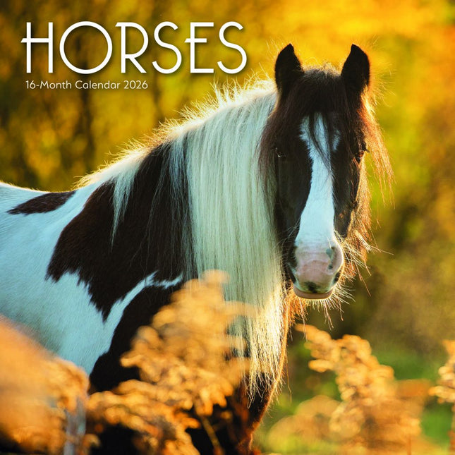 CarouselCalendars Paarden Kalender 2026