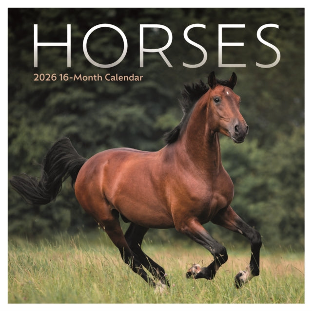 CarouselCalendars Paarden Kalender 2026 Mini