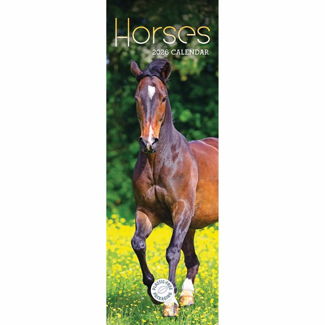 CarouselCalendars Paarden Kalender 2026 Slimline