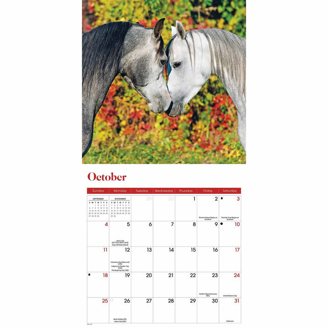 CarouselCalendars Paarden Mini Kalender 2026