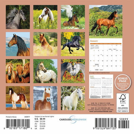 CarouselCalendars Paarden Mini Kalender 2026