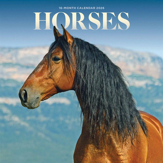 CarouselCalendars Paarden Mini Kalender 2026