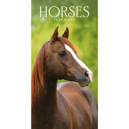 CarouselCalendars Paarden Slim Agenda 2027
