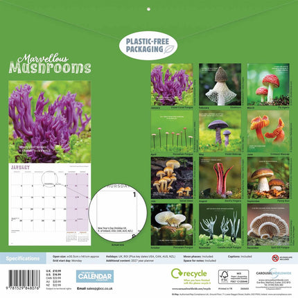 CarouselCalendars Paddenstoelen Kalender 2026