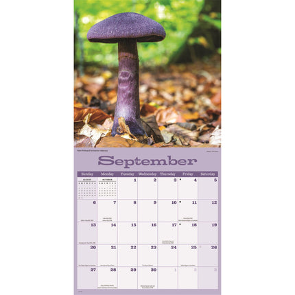 CarouselCalendars Paddenstoelen Kalender 2026