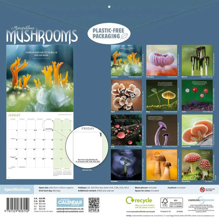 CarouselCalendars Paddenstoelen Kalender 2027
