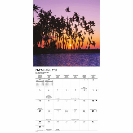 CarouselCalendars Paradijs Eiland Mini Kalender 2026
