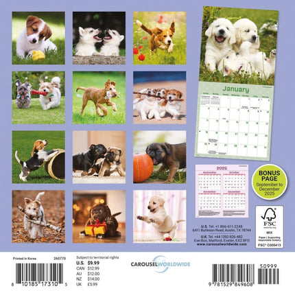CarouselCalendars Playful Puppies Mini Kalender 2026