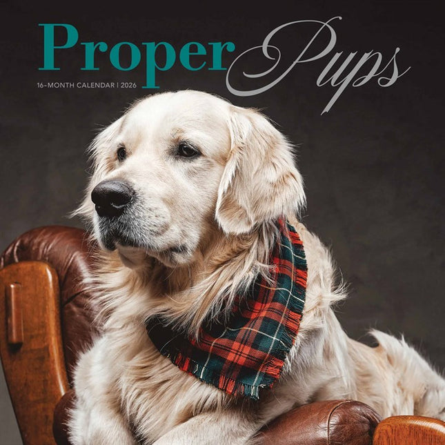 CarouselCalendars Proper Puppies Kalender 2026