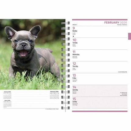 CarouselCalendars Puppies A5 Agenda 2026