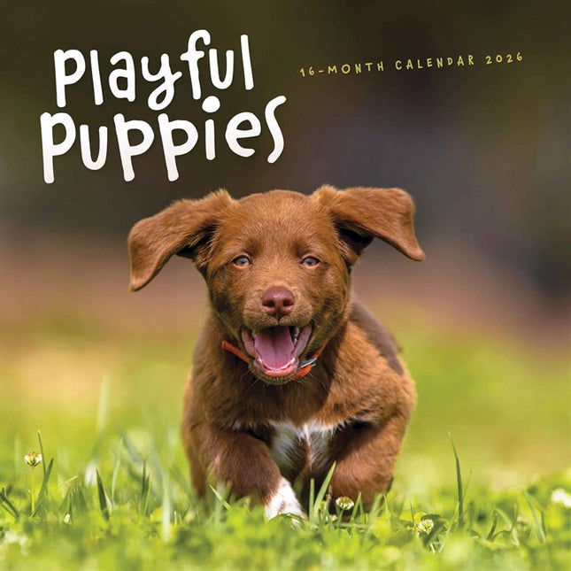 CarouselCalendars Puppies Kalender 2026