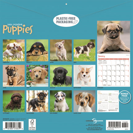 CarouselCalendars Puppies Kalender 2026