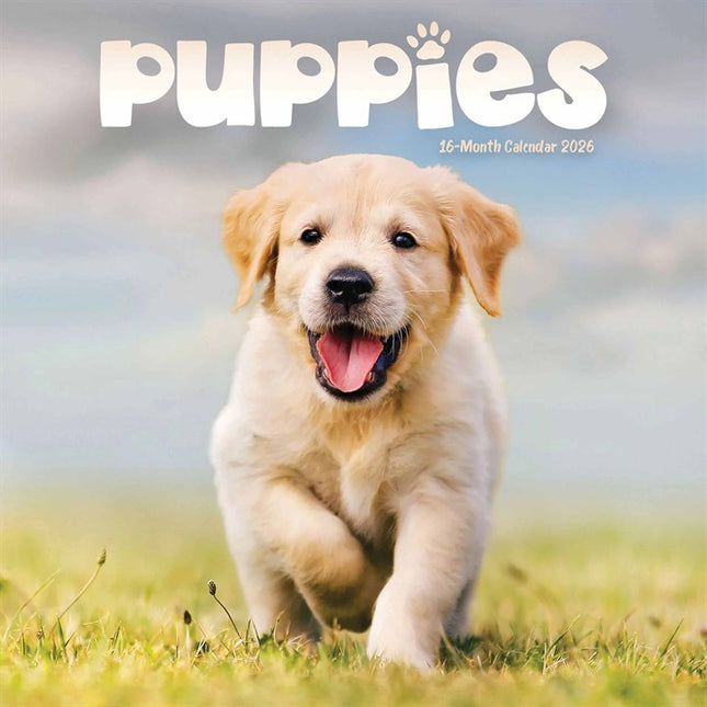 CarouselCalendars Puppies Mini Kalender 2026