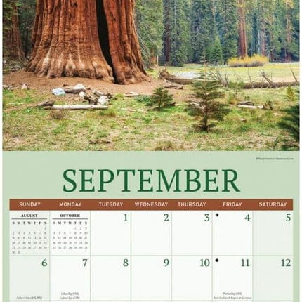 CarouselCalendars Redwood Bos Kalender 2026