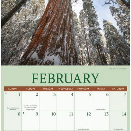 CarouselCalendars Redwood Bos Kalender 2026