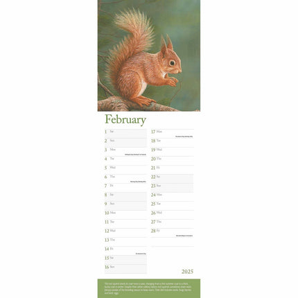 CarouselCalendars Robert Fuller British Wildlife Kalender 2025 Slimline