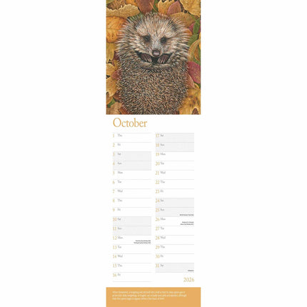 CarouselCalendars Robert Fuller British Wildlife Kalender 2026 Slimline