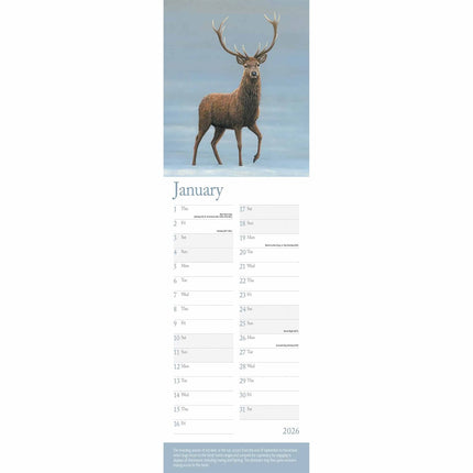 CarouselCalendars Robert Fuller British Wildlife Kalender 2026 Slimline