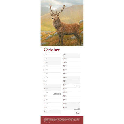 CarouselCalendars Robert Fuller British Wildlife Kalender 2026 Slimline