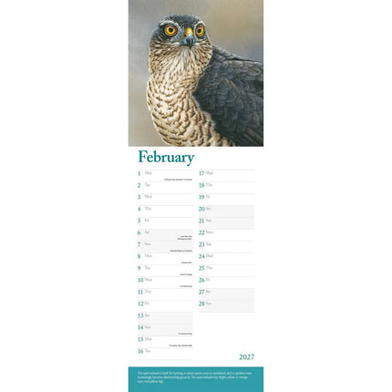 CarouselCalendars Robert Fuller British Wildlife Kalender 2026 Slimline