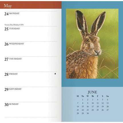 CarouselCalendars Robert Fuller Wildlife Slim Agenda 2026