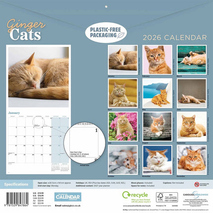 CarouselCalendars Rode Katten Kalender 2026