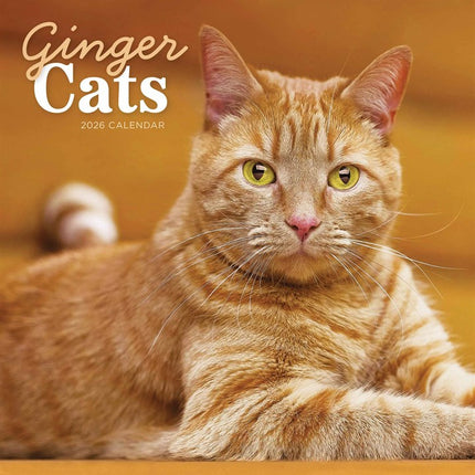 CarouselCalendars Rode Katten Kalender 2026