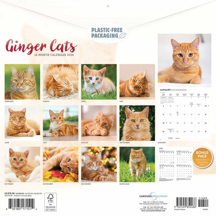 CarouselCalendars Rode Katten Kalender 2027