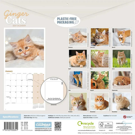 CarouselCalendars Rode Katten Kalender 2027