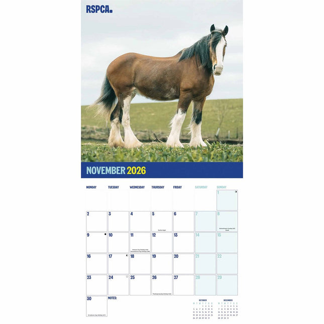 CarouselCalendars RSPCA, Britse Paarden en Pony's Kalender 2026