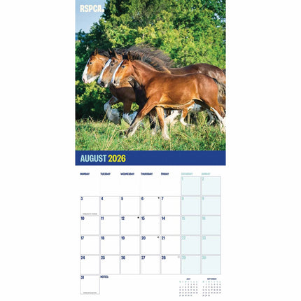 CarouselCalendars RSPCA, Britse Paarden en Pony's Kalender 2026