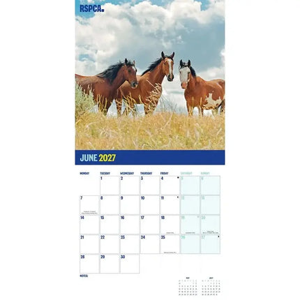 CarouselCalendars RSPCA, Britse Paarden en Pony's Kalender 2027