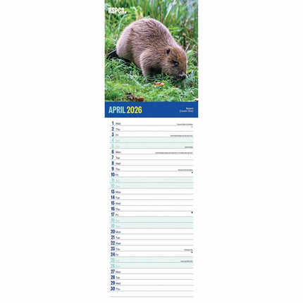 CarouselCalendars RSPCA, Britse Wildlife Slim Kalender 2026
