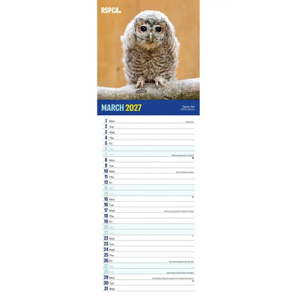 CarouselCalendars RSPCA, Britse Wildlife Slim Kalender 2026