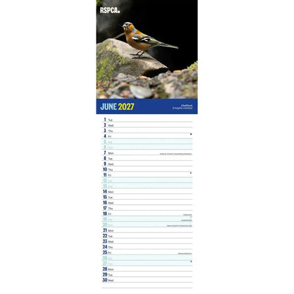 CarouselCalendars RSPCA, Britse Wildlife Slim Kalender 2027
