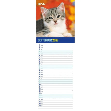 CarouselCalendars RSPCA, I Love Kittens Slim Kalender 2027