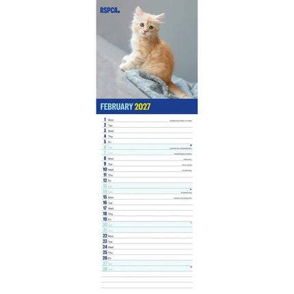 CarouselCalendars RSPCA, I Love Kittens Slim Kalender 2027