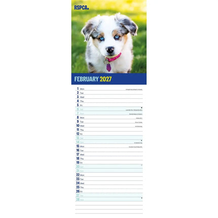 CarouselCalendars RSPCA, I Love Puppies Slim kalender 2027