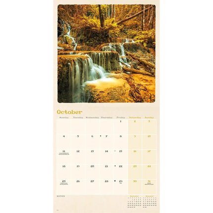 CarouselCalendars Scenic Woodland Kalender 2027