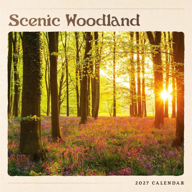 CarouselCalendars Scenic Woodland Kalender 2027