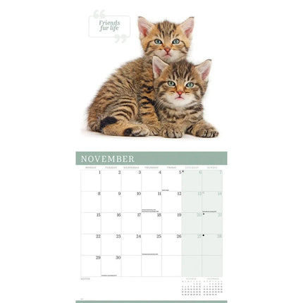 CarouselCalendars Schattige Katten Kalender 2027