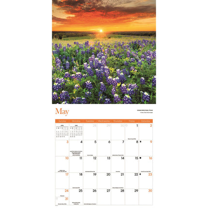 CarouselCalendars Seizoenen Kalender 2026