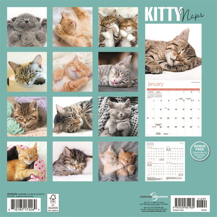 CarouselCalendars Slapende Kittens Kalender 2026