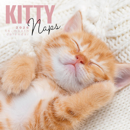 CarouselCalendars Slapende Kittens Kalender 2026