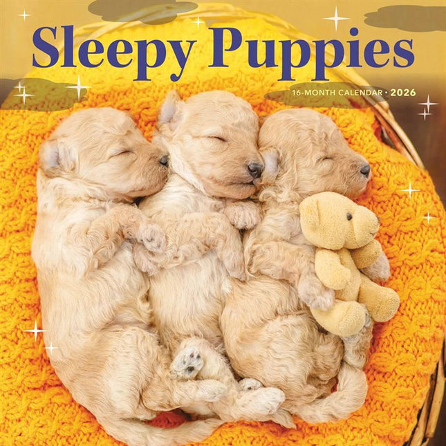 CarouselCalendars Slapende Puppies Kalender 2026