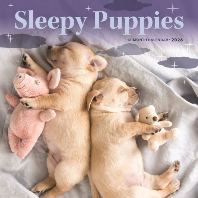CarouselCalendars Slapende Puppies Mini Kalender 2026