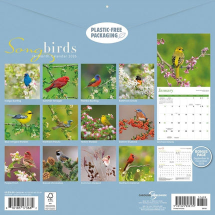CarouselCalendars Songbirds Kalender 2026